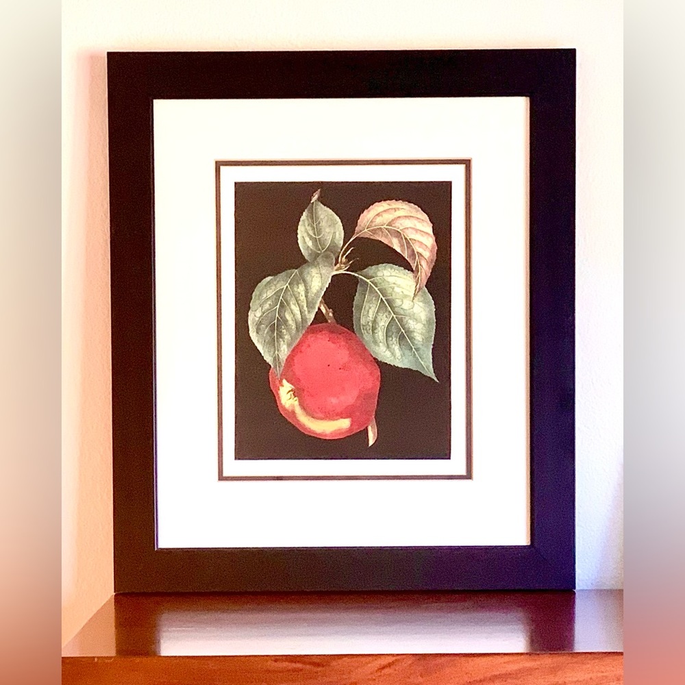 Fruit Theme Framed Art Prints , Set of Two.